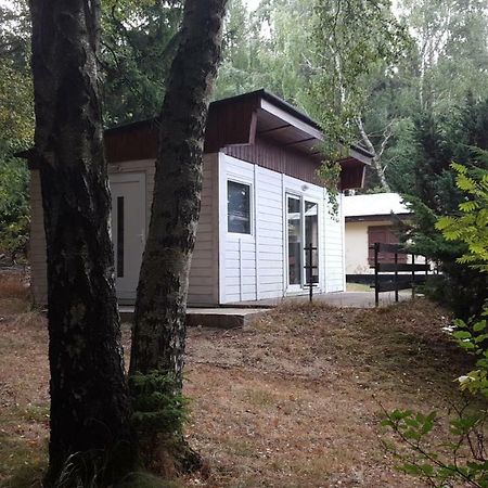Bungalowdorf Klein Budelsdorf Altenberg Eksteriør bilde