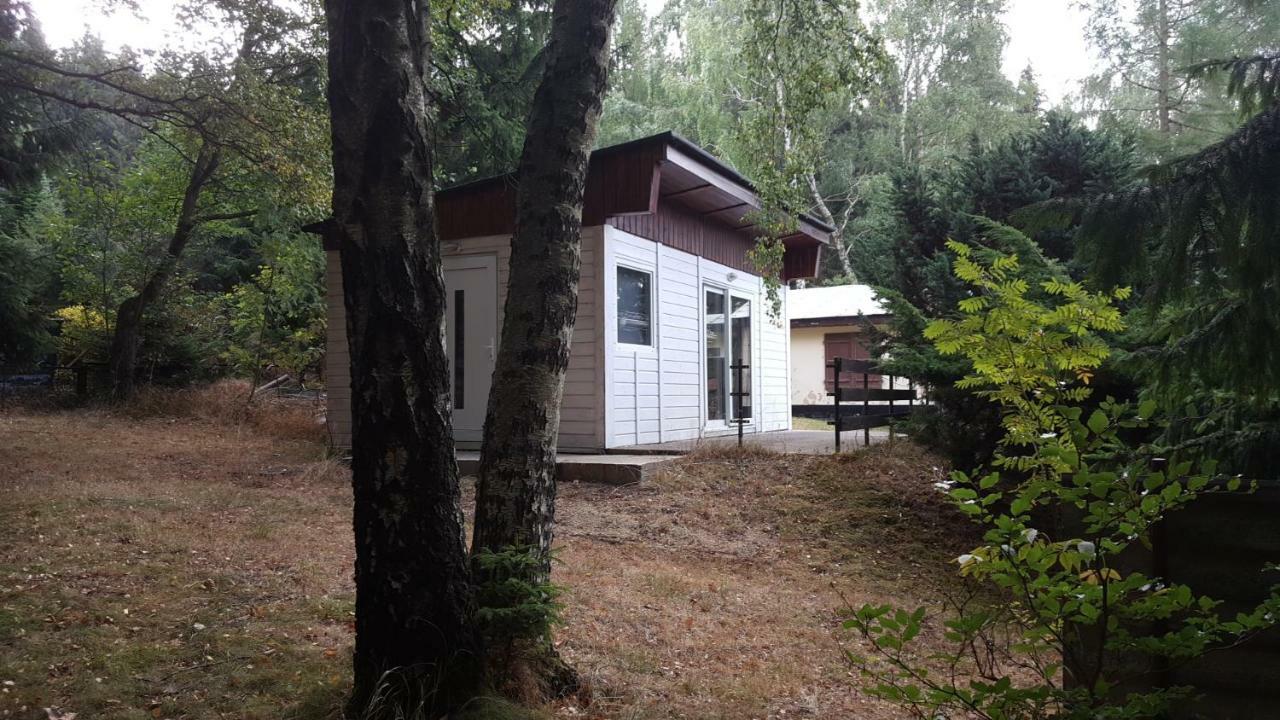 Bungalowdorf Klein Budelsdorf Altenberg Eksteriør bilde